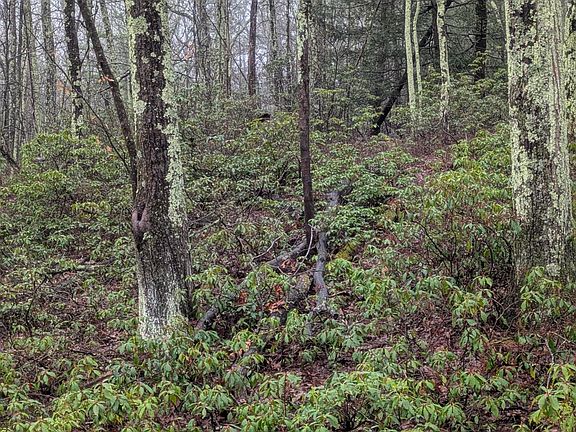 2nd image of 97 Otens Road