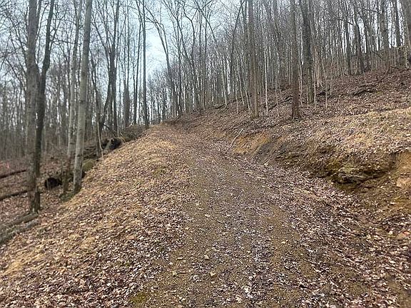 5th image of 2998 Owl Creek Rd