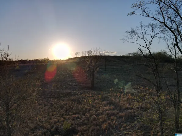 0 County Road 23 #0, Fayette, AL 35555
