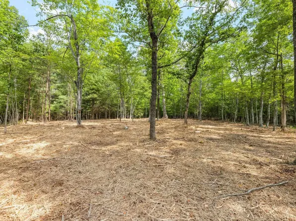 Wesley Chapel Rd, Free Union, VA 22940