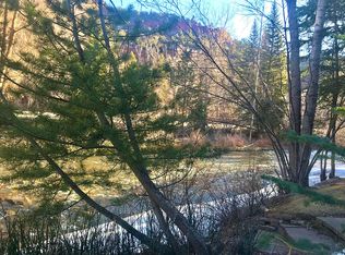 River Trl, Placerville, CO 81430