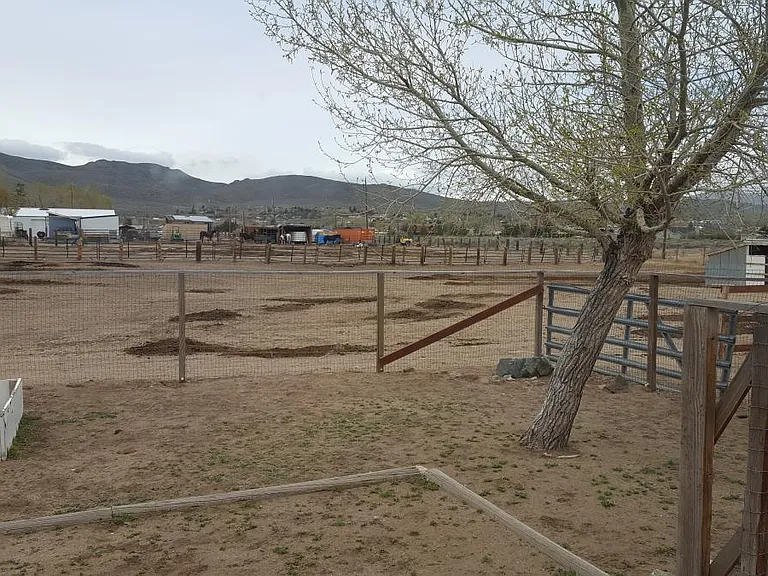 view of horse area from master bedroom