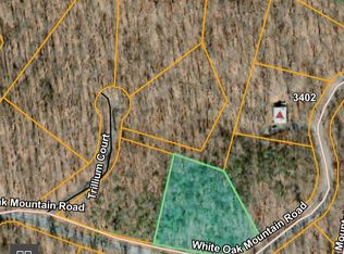 36 White Oak Mountain Rd, Columbus, NC 28722