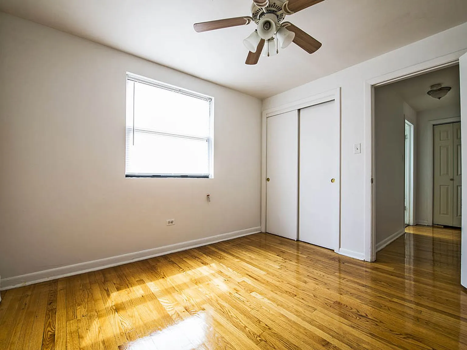 8231 S Ellis — Photo 4