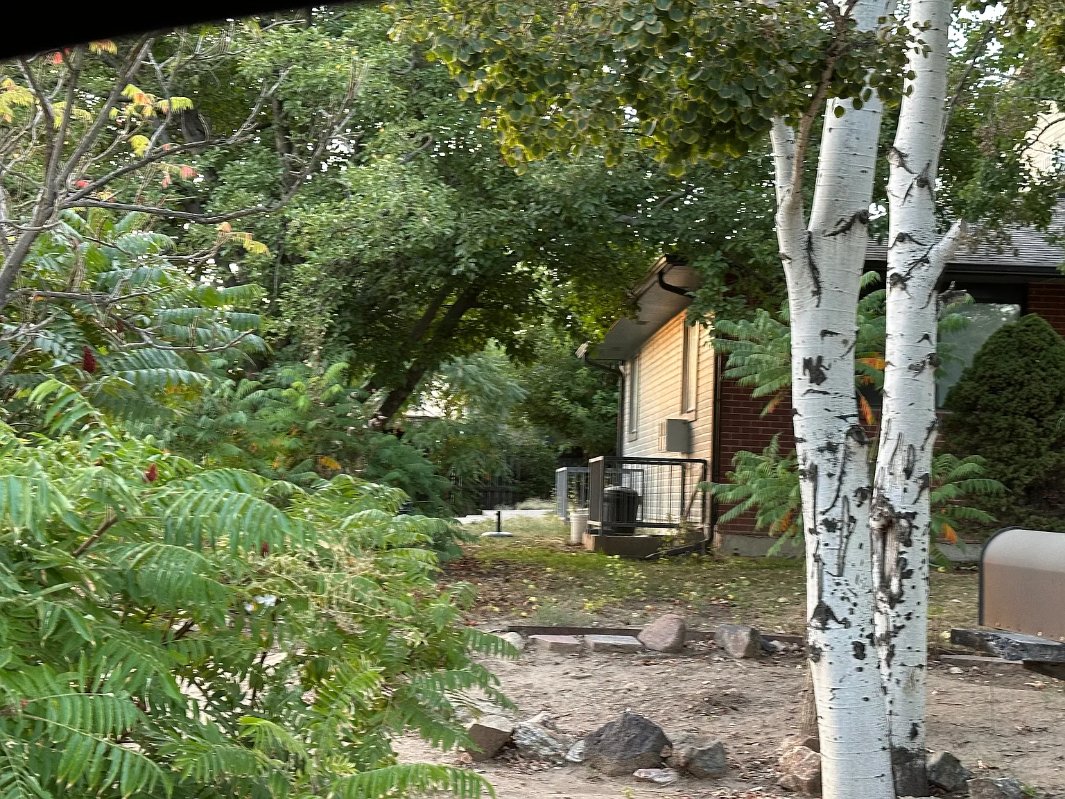3 bed, 1800 sqft, $1,950 — Photo 2