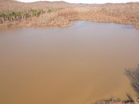 3rd image of Lily Rd