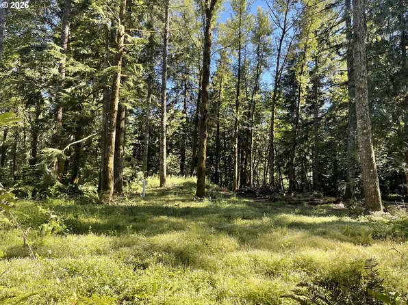 23282 E Sandy Ave, Rhododendron, OR 97049