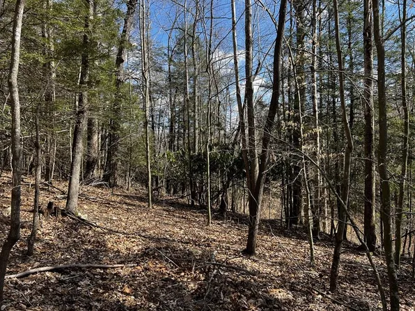 Wilderness Hwy, Nallen, WV 26680