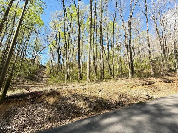 1440 Laurel Rd, Gatlinburg, TN 37738