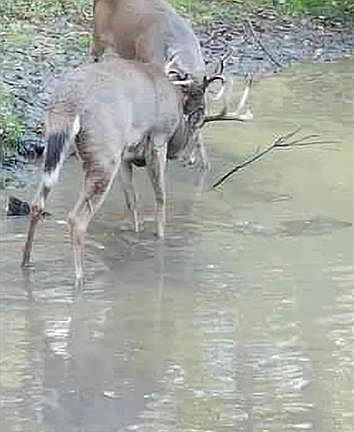 3rd image of 890 South Independence Road