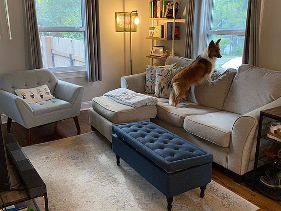 Living Room (Dog not included)