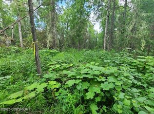 L1 1 Chase #2, Talkeetna, AK 99676