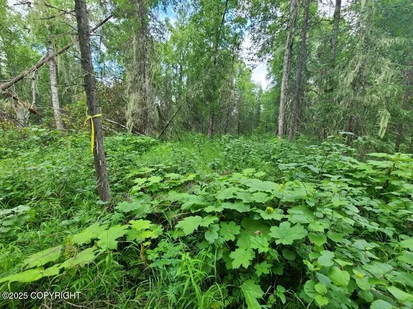 L1 1 Chase #2, Talkeetna, AK 99676