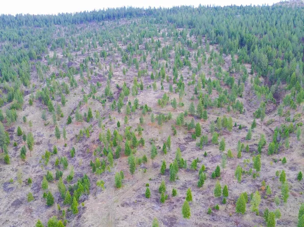 3329 Highway 231 #B, Valley, WA 99181