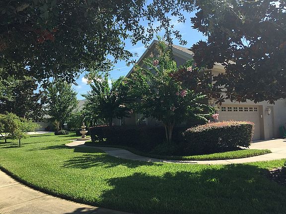 Corner View