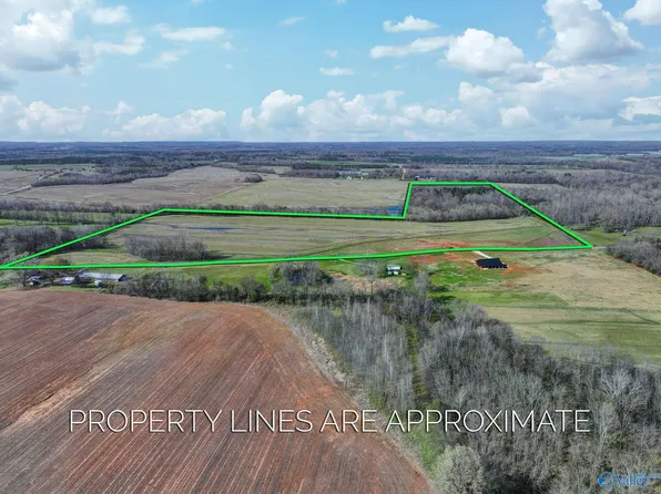 60/ACRE S County Road 460, Mount Hope, AL 35651