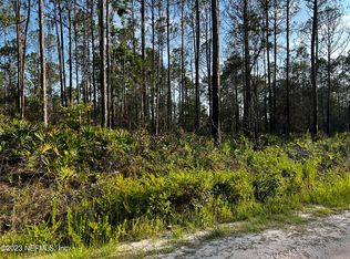 0 Kay Rd, Middleburg, FL 32068