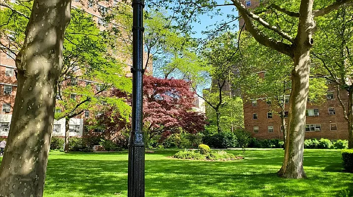 Rented by Douglas Elliman | media 23
