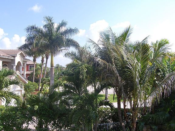 View from Balcony