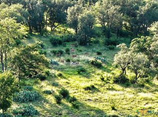 LOT 4 County Road 220, Briggs, TX 78608