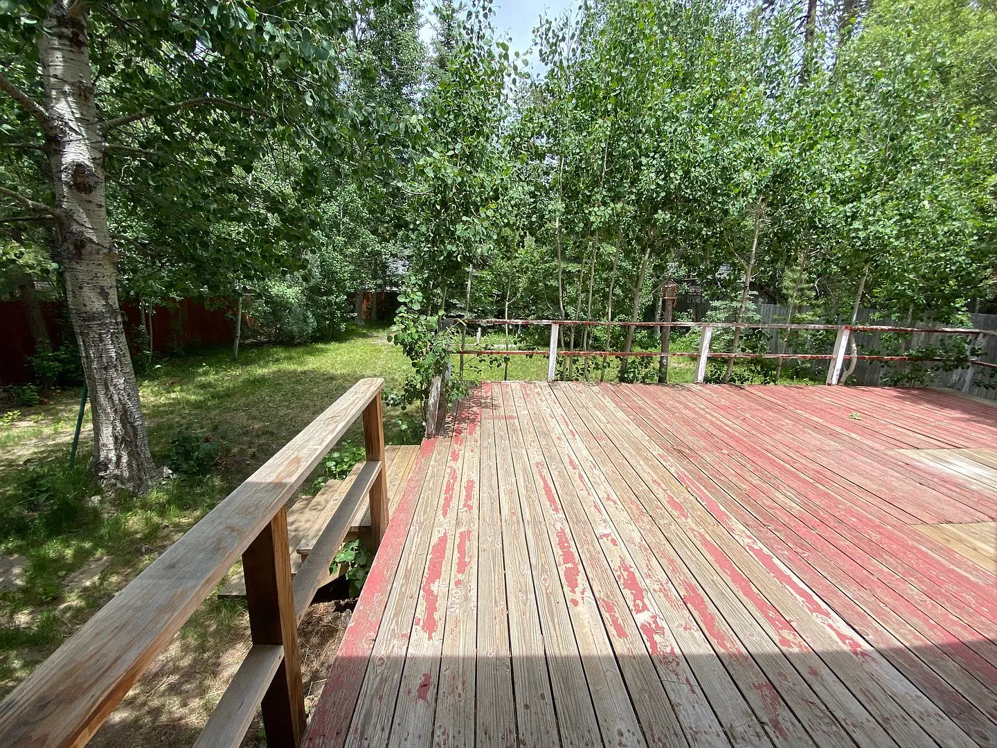 Bright Two Bedroom Home With a Large Backyard and Garage — Photo 2