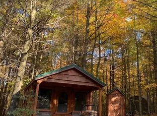 0 Steam Mill Rd, Odessa, NY 14869