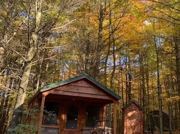 0 Steam Mill Rd, Odessa, NY 14869