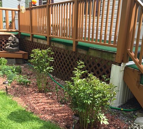 front of house and porch