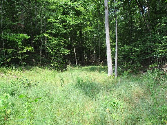 5th image of 0 Red Bank Creek Rd