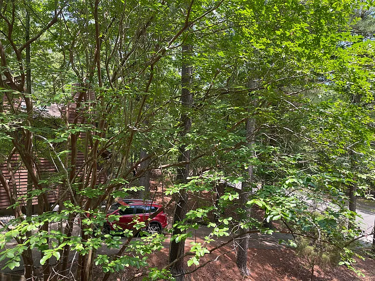 620 Arlington St — Photo 48
