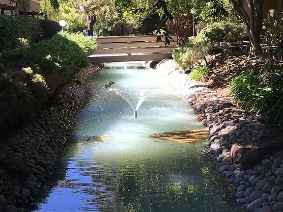 Lagoon and landscaping