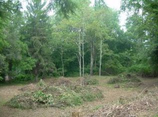 LOT Three Blackberry #RID, Waynesville, NC 28786