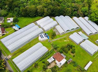 137 Km 9.9 Bo Franquez La Alianza, Morovis, PR 00687