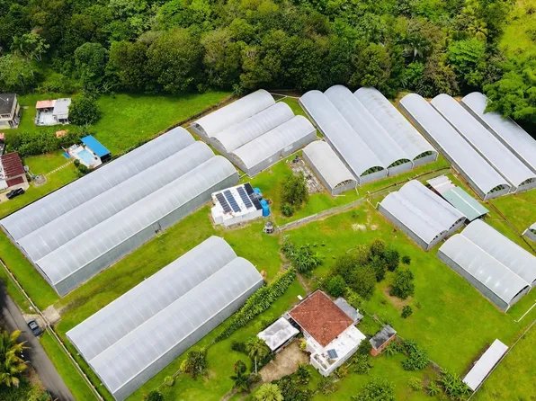 137 Km 9.9 Bo Franquez La Alianza, Morovis, PR 00687