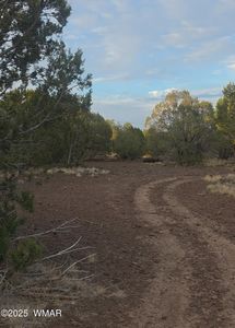 8588 Bobcat Dr, Show Low, AZ, 85901