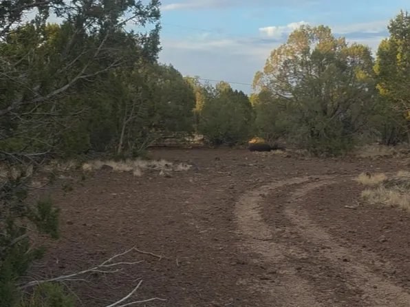 8588 Bobcat Dr, Show Low, AZ 85901