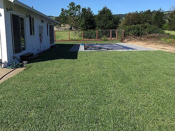 Part of the back yard
