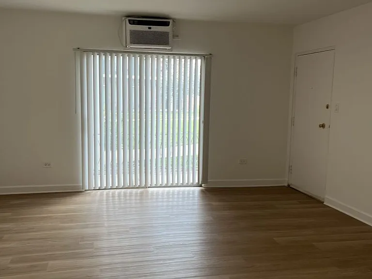 150 E Lake St #12B — Photo 4