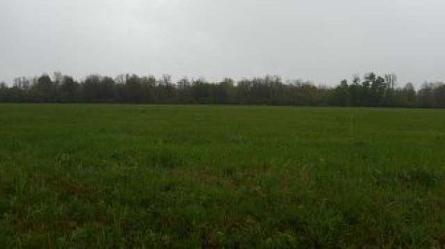 1st image of ON W OLD 8 RD