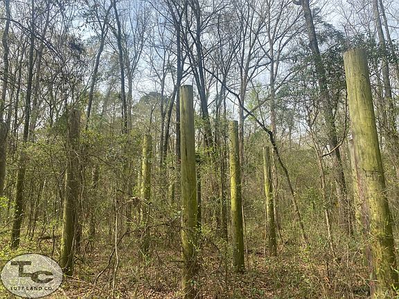 5th image of 0 Sandbar Rd