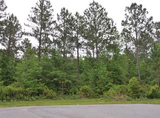 153 Michigan Way, BRUNSWICK, GA 31523