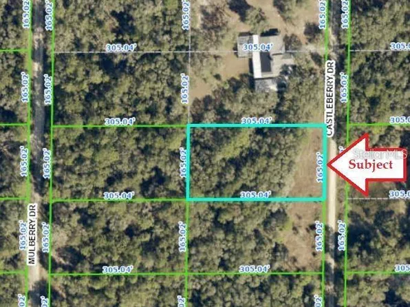 7343 Castleberry Dr #5, Webster, FL 33597