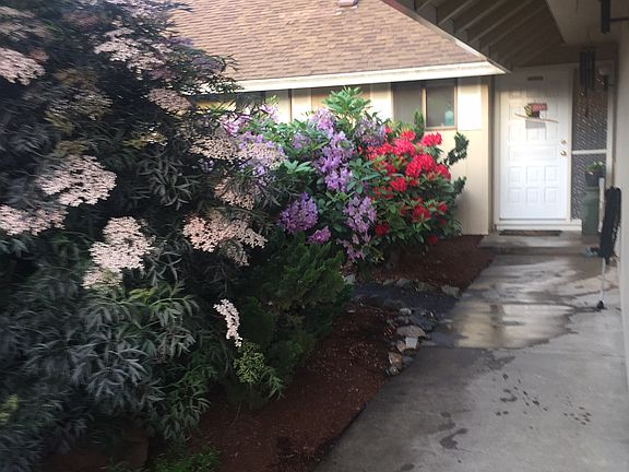 front door (sidewalk washed)
