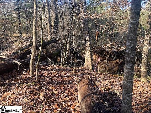 5th image of 105 Dogleg Dr