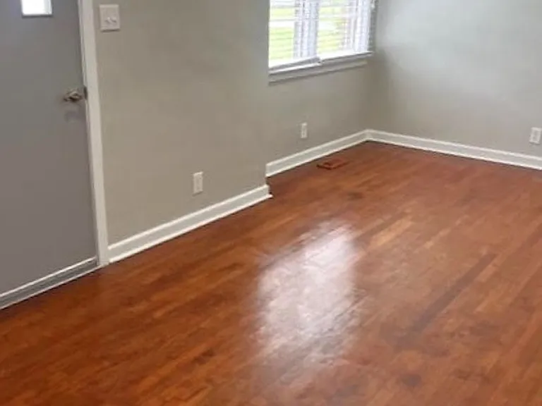 705 Georgia Ave — Photo 7