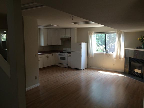 Living room and kitchen