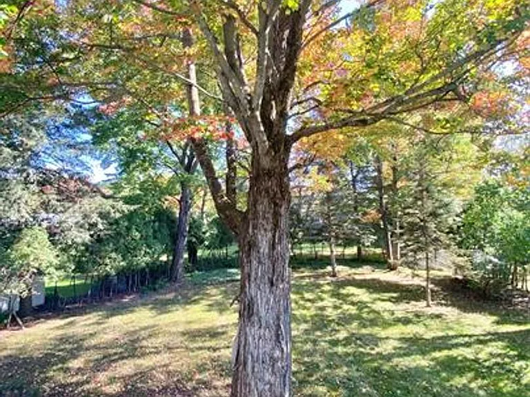 8 Greenwood Ave — Photo 34