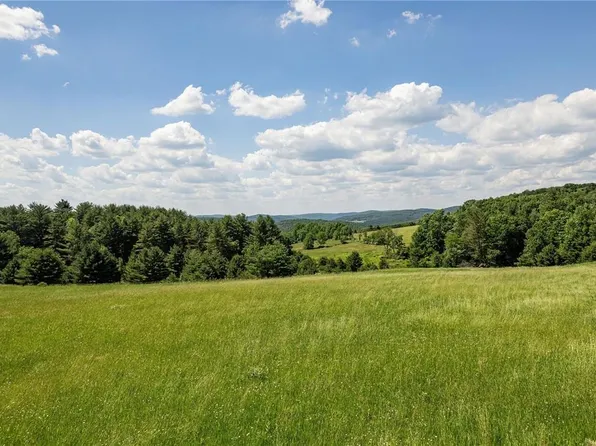TBD Cross Road, Callicoon, NY 12723
