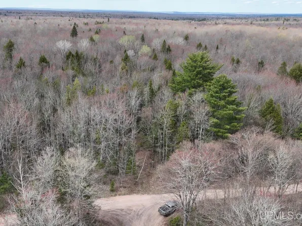 9693 N Light Blue Rd, Pelkie, MI 49958