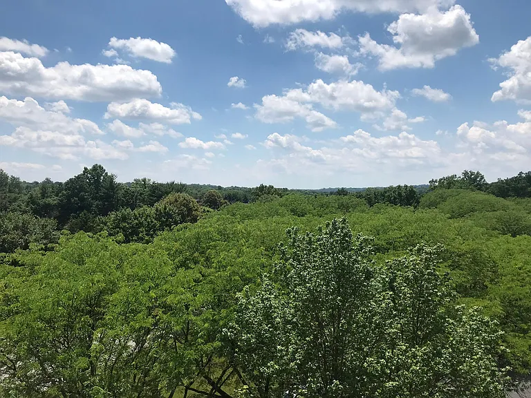 1600 Hagys Ford Rd #9X — Photo 13